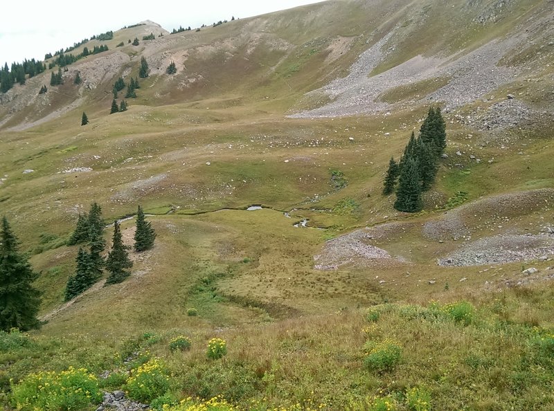 Game trails line the bowl