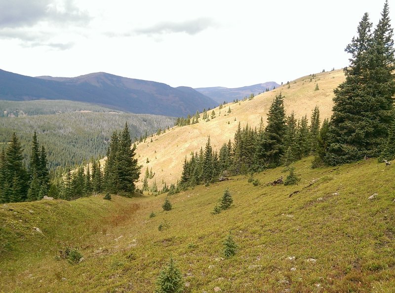 Several interesting trough-like formations on this hillside.