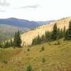 Several interesting trough-like formations on this hillside.