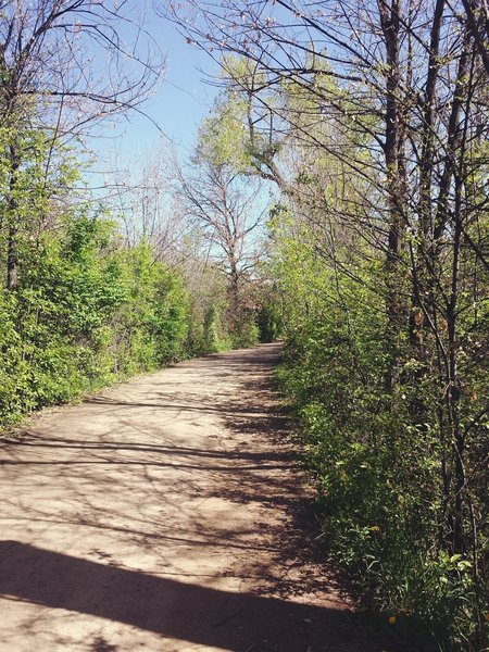 Flat dirt road as featured by much of the southwest portion of the trail.