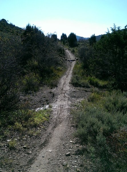 This gully can be tricky to cross during a large storm runoff