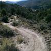 A look downhill as the trail goes along above the ravine