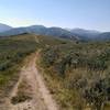 Dry, scrubby terrain predominates in the preserve