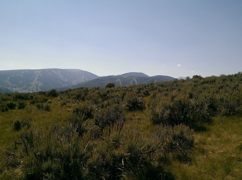 Good views of Beaver Creek ski area from the West Avon Preserve