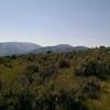 Good views of Beaver Creek ski area from the West Avon Preserve