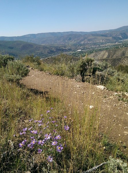 Western views are great from Our Backyard Trail