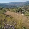 Western views are great from Our Backyard Trail