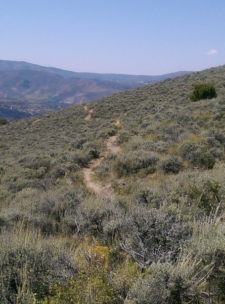 Saddle Ridge Trail heading west