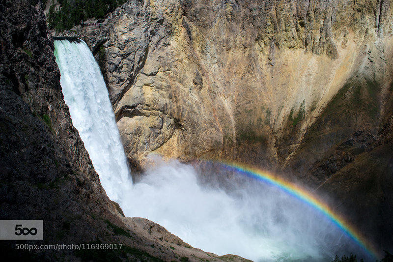 Falls of the Yellowstone.