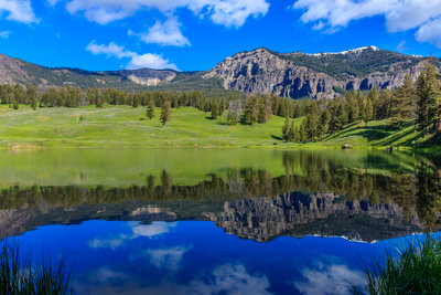 Trout lake 2025 hike yellowstone