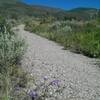 Nearly at the top of the June Creek Trail, looking north.