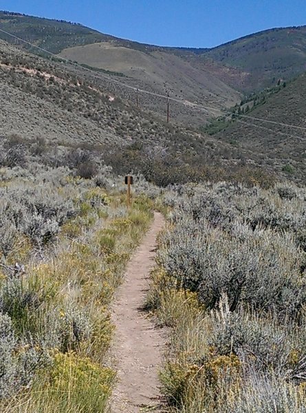 Approaching the junction with an unnamed doubletrack trail.