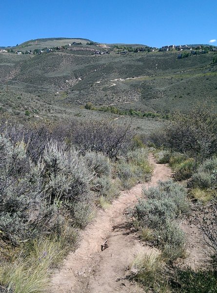 Descending into the June Creek drainage.