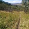 Pretty meadows with aspens line this peaceful trail.