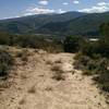 This former doubletrack is being reclaimed by nature.