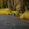 A little fording of the river on Mountain Ash Creek Trail.