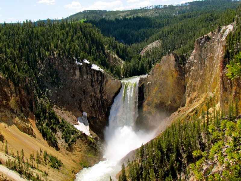 Yellowstone Falls