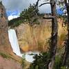 Lower Yellowstone Falls from Uncle Tom's Trail.