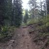 A view of the rocky nature of the trail in some parts (the rocks are well set in the dirt), as well as the varying vegetation that can be found along the trail (aspen, evergreen, scrub oak and other bushes, etc.)