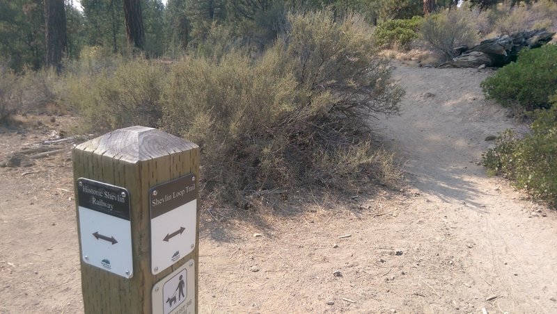 Check for trail signs.