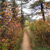 Colorful trail