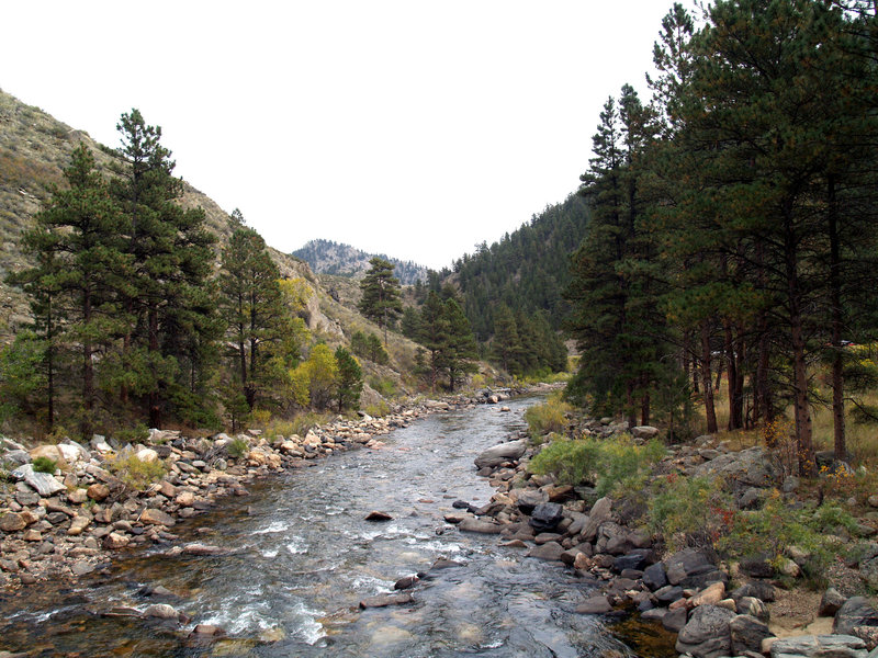 Poudre River (Looking downriver from the Greyrock bridge)