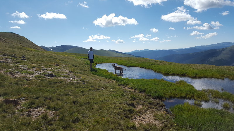 Snow melt pond on the CDT