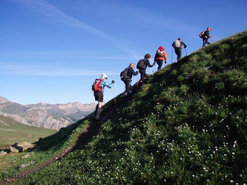 Tour Off of trail 419