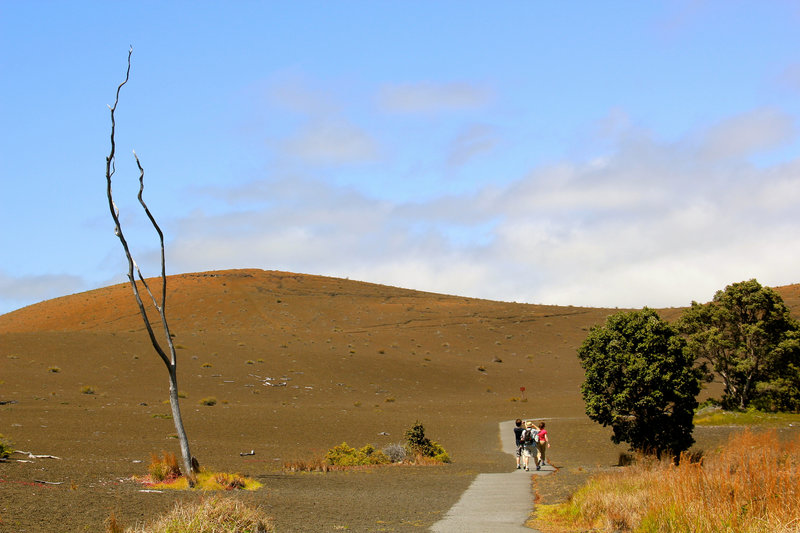 Devastation Trail