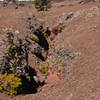 Mauna Ulu fissure.