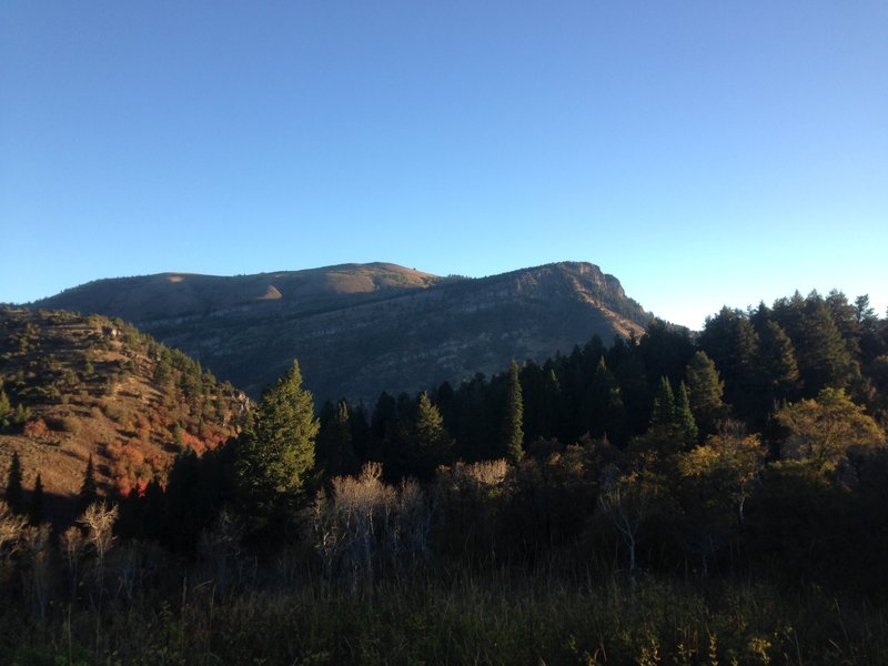 A view of the cliffs above Leatham Hollow as well as Millville Peak in the  background