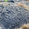 Petroglyphs on the hillside.