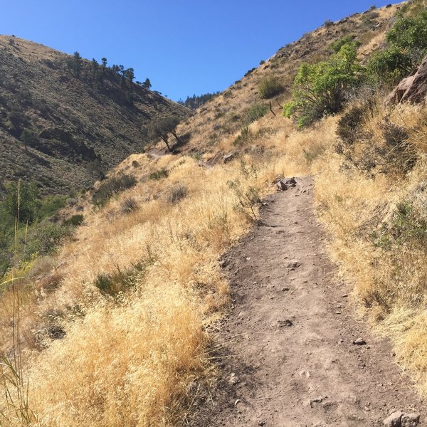 The majority of the trail is singletrack and sun exposed.