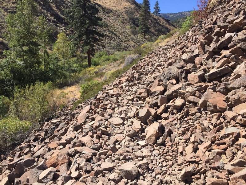 There are several areas of talus/fallen rock.