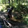 Lupe crosses Holy Ghost Creek on the Spirit Lake Trail