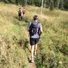 One of the many meadows on the Holy Ghost (Spirit Lake) trail.