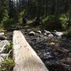 Big log.  Nice bridge.