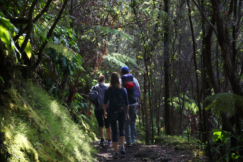 Crater Trail