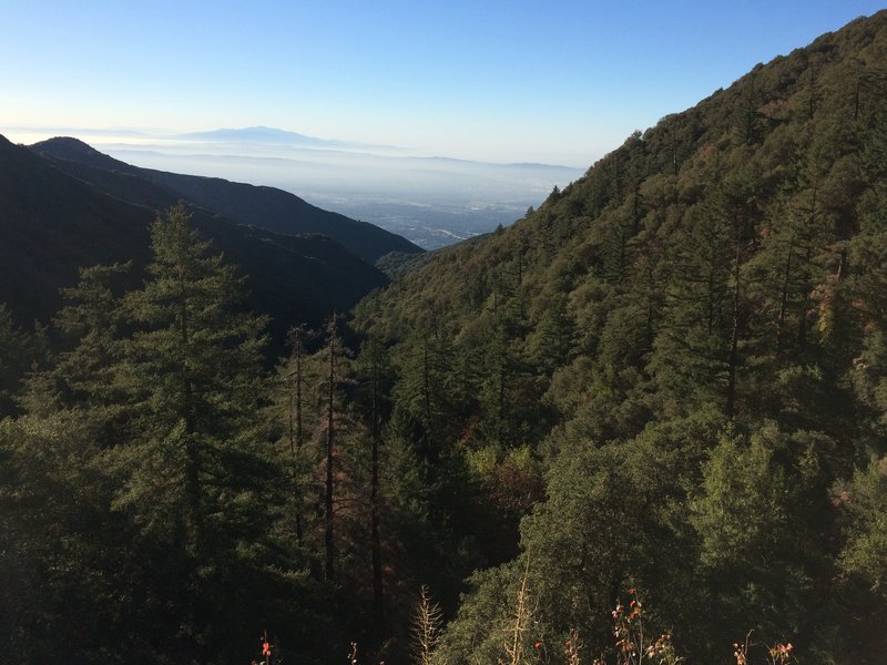 Amazing view coming up Mount Wilson