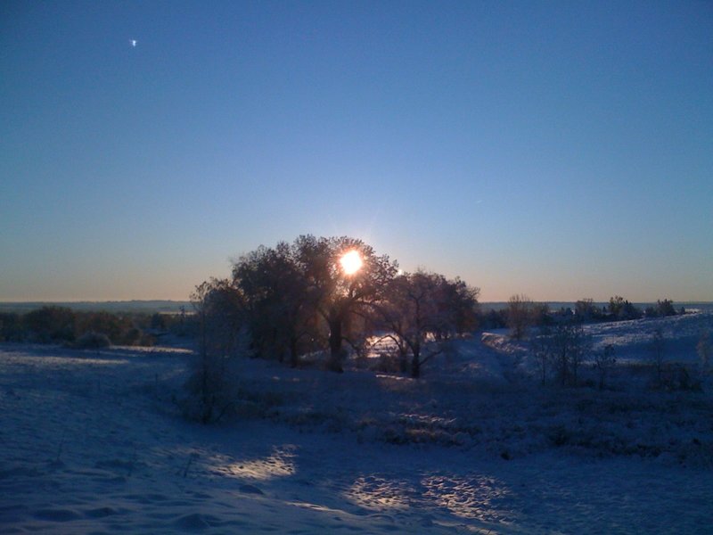 Winter Scenery in Coyote Run Open Space