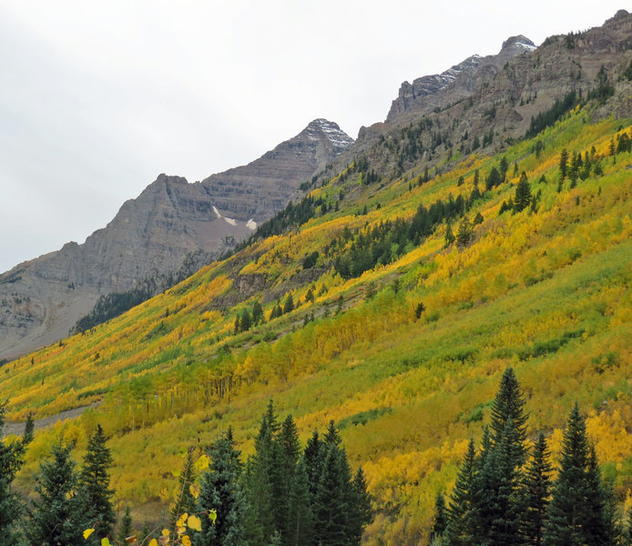 Pryamid Peak peaking out from behind the aspen slope.