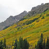 Pryamid Peak peaking out from behind the aspen slope.