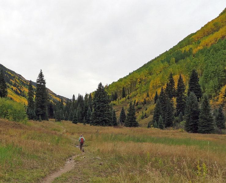 The meadows give you a chance to enjoy grand vistas.