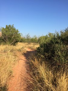 Beginning the trail