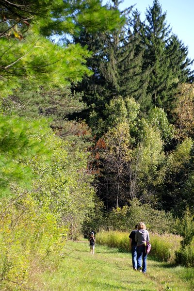 Hikers enjoying the trail.