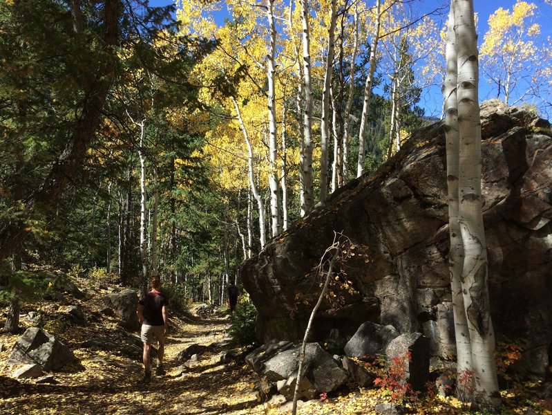 Rocks and aspens along Difficult Creek.