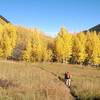 Be prepared for eye-popping displays of turning aspens in September