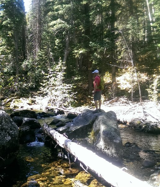 Lots of fun places to play on the creek.