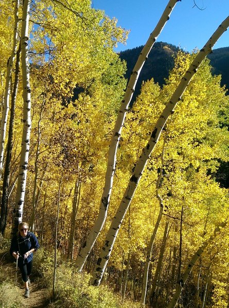 Progressing up the switchbacks on the American Lake Trail