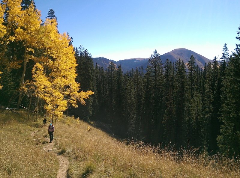 One of the pleasant meadows along the American Lake Trail.